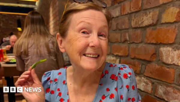 Animal lover run over by own car while saving cat on hill