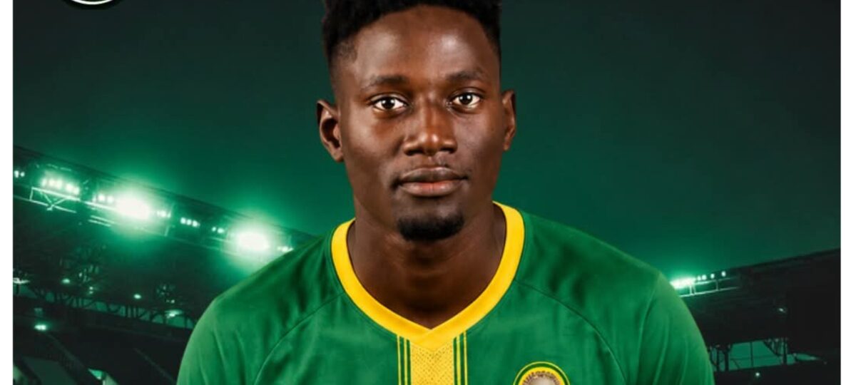 NPFL: Bendel Insurance sign Ibrahim from Niger Tornadoes