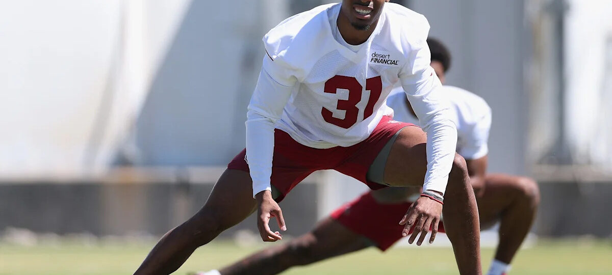 Arizona Cardinals training camp roster preview: S Wydett Williams Jr.