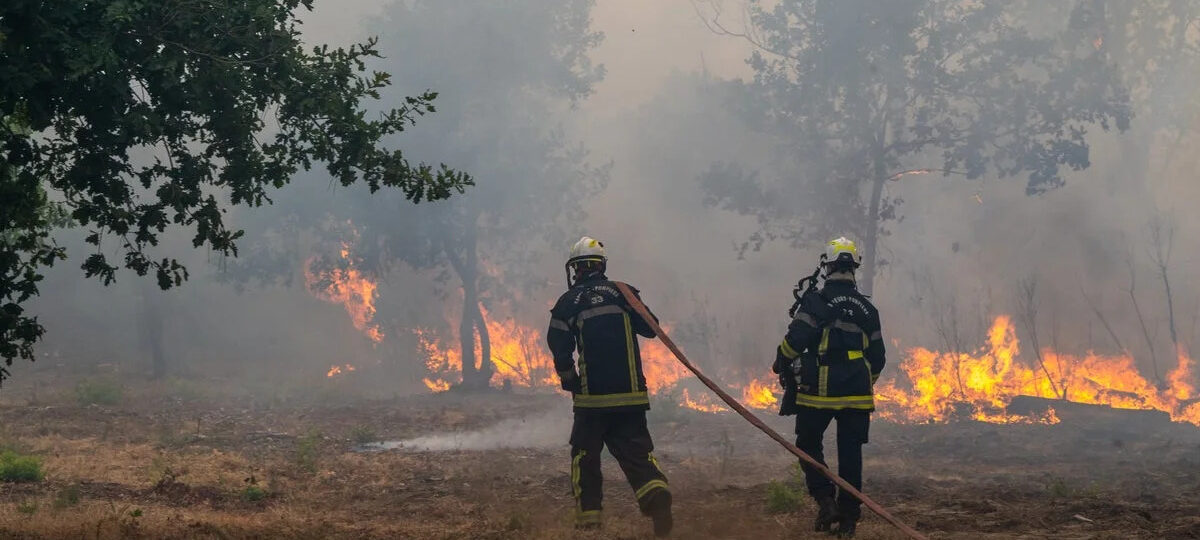 Tour de France organisers shorten final route amid France wildfire emergency