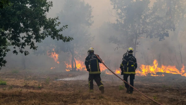 Tour de France organisers shorten final route amid France wildfire emergency
