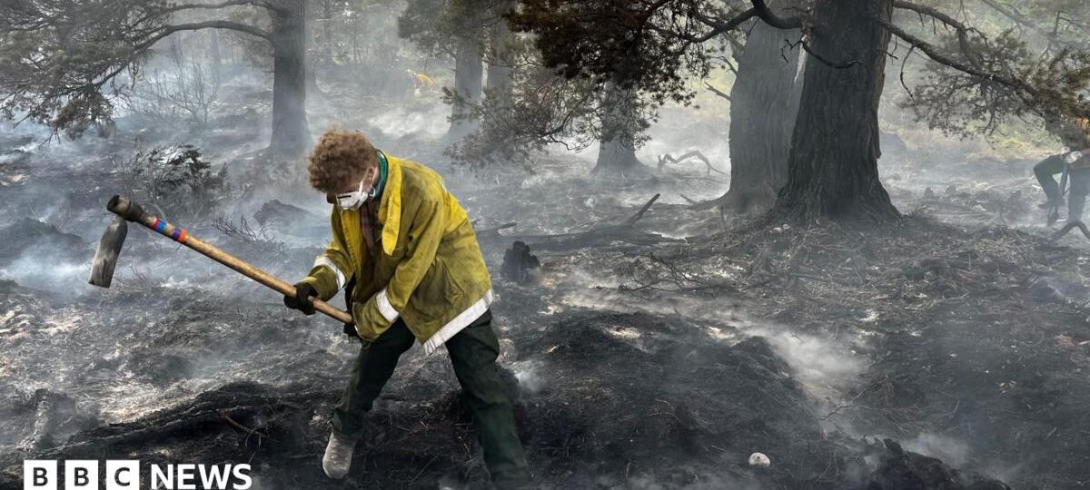 'Apocalyptic' damage as Cairngorms wildfire burns for two weeks