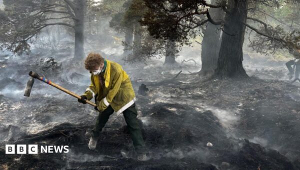 ‘Apocalyptic’ damage as Cairngorms wildfire burns for two weeks