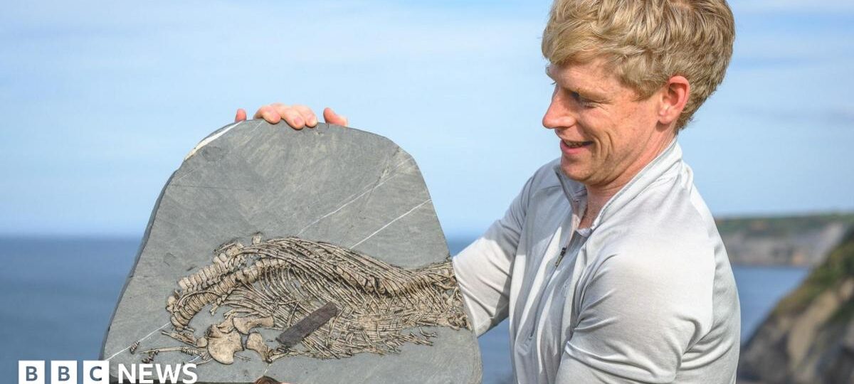 Mountaineer who began fossil hunting after near-death experience discovers rare 'sea dragon'