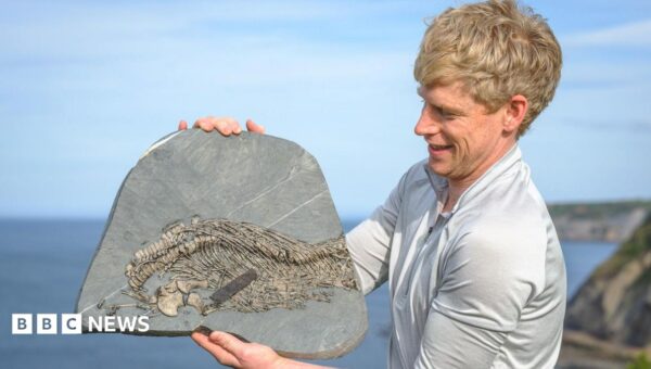 Mountaineer who began fossil hunting after near-death experience discovers rare ‘sea dragon’