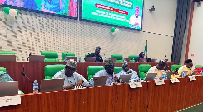 PFIPC Probe: Reps Panel Faults MDAs Over Absence, Summons Foreign Affairs Minister, NSA