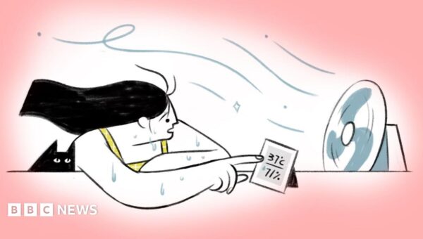 No air con? Here’s how to get the most out of your electric fan