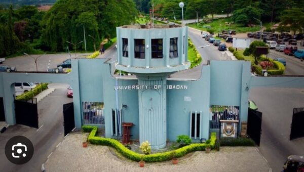 University of Ibadan appoints new Vice-Chancellor