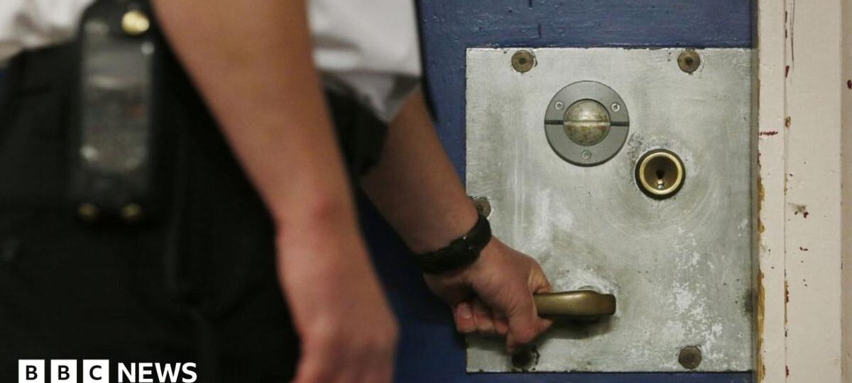 What could happen to prisoner early release scheme now PM has paused it?