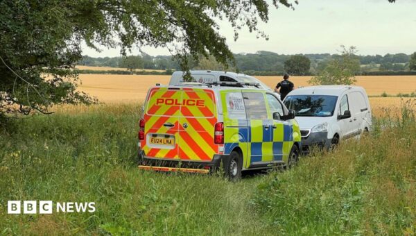 Two dead after plane crashed during flight experience