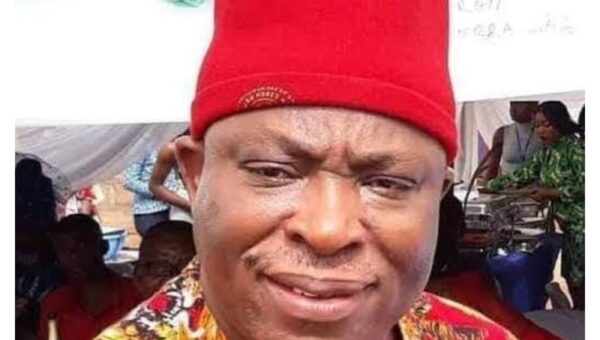 Xenophobia: Nigeria won’t collapse if we send South African businesses away – Umeh