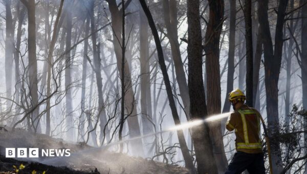Twelve die in wildfire in Spain as heatwave continues in southern Europe