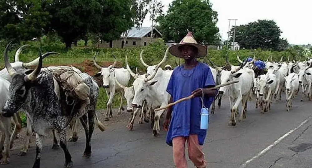 Plateau: Fulani herders accuse DSS of intimidation, rights infringement