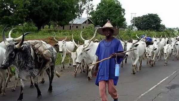 Plateau: Fulani herders accuse DSS of intimidation, rights infringement