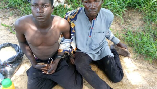 Troops arrest two suspected ISWAP logistics suppliers in Borno