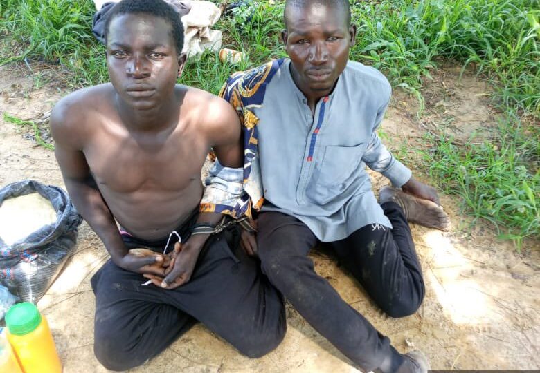 Troops arrest two suspected ISWAP logistics suppliers in Borno