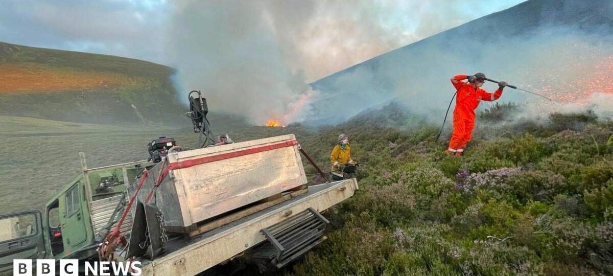 Rain brings hope of relief for crews fighting Cairngorms wildfire