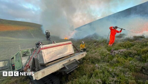 Rain brings hope of relief for crews fighting Cairngorms wildfire