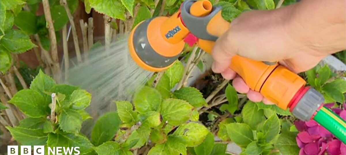 Hosepipe ban for Hampshire and Isle of Wight