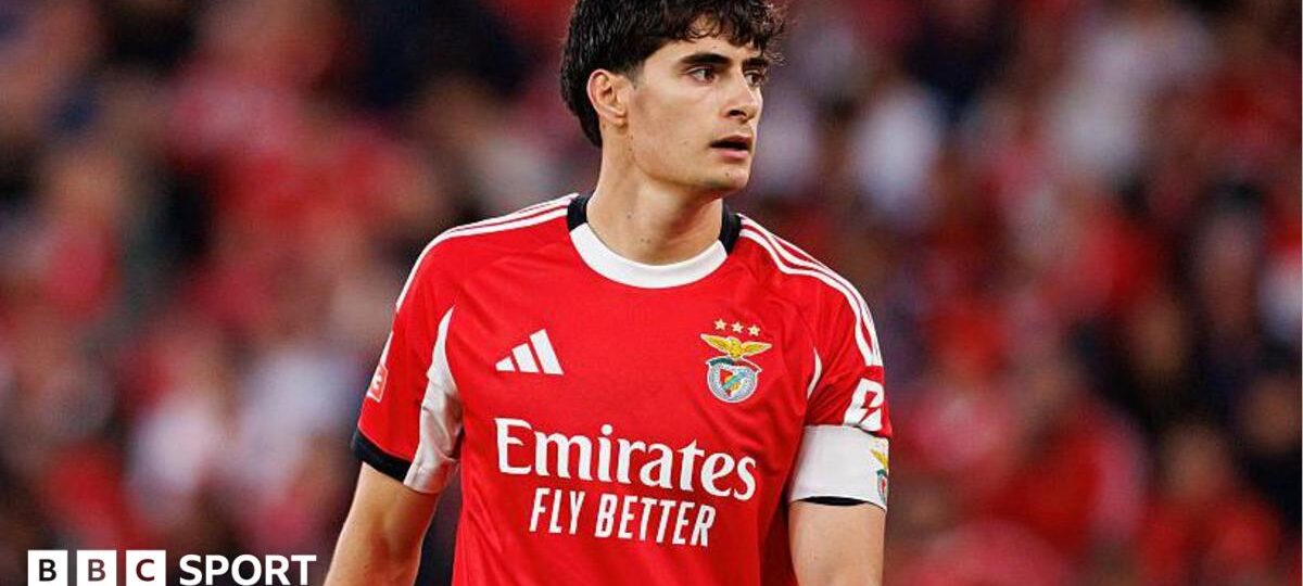 Bournemouth agree £26m fee for Benfica defender Silva