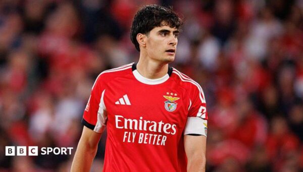 Bournemouth agree £26m fee for Benfica defender Silva