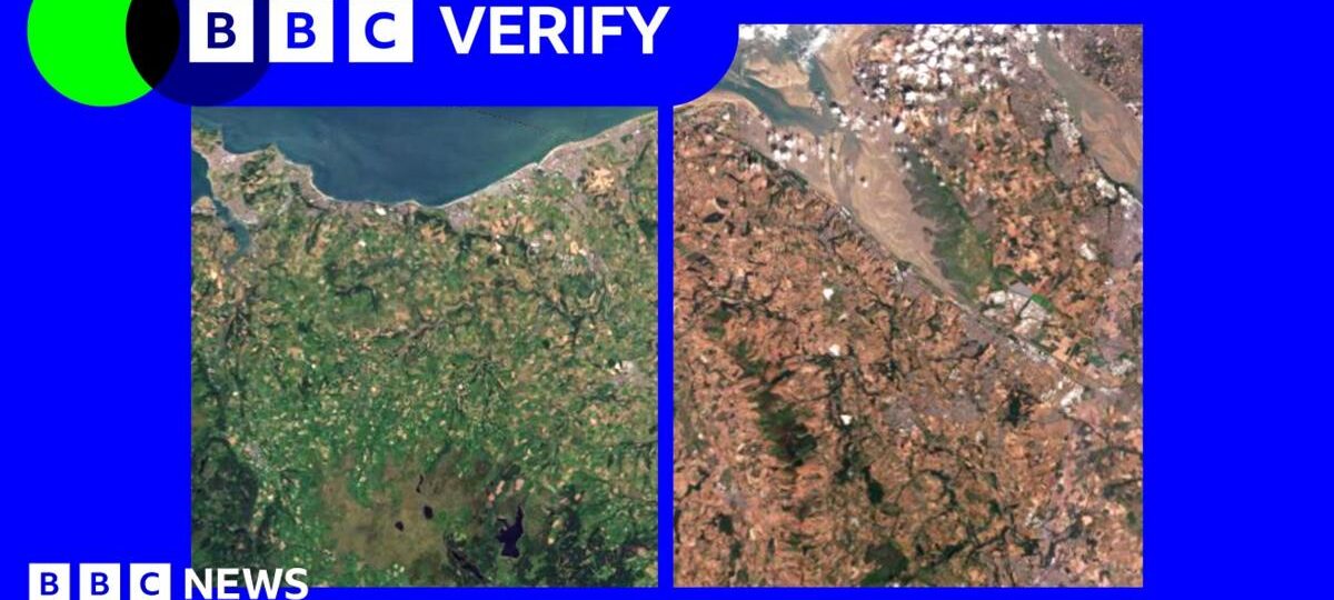 Satellite images show impact of heatwaves and drought on UK landscape