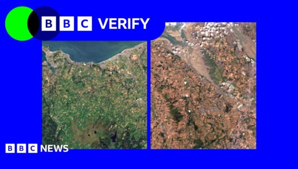 Satellite images show impact of heatwaves and drought on UK landscape