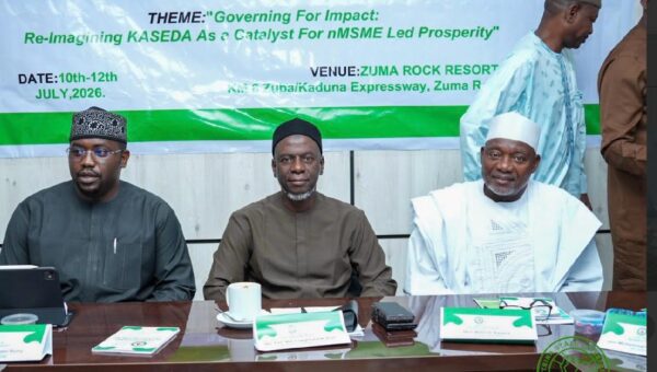 Katsina targets African model for enterprise development — Gov Radda reveals