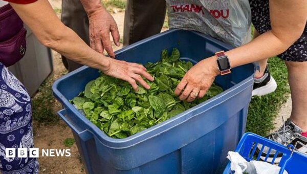 Using a bathroom 20 times a day – life in the middle of US cyclospora outbreak
