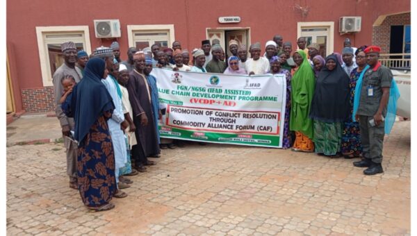 Farmer-Herder Clashes: Experts push community-led solutions as farming season begins