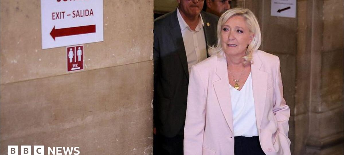 Marine Le Pen to run for French presidency and appeal conviction in top court