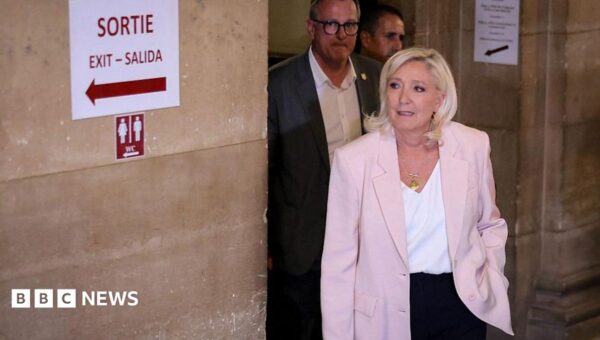Marine Le Pen to run for French presidency and appeal conviction in top court
