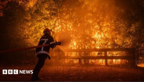 Macron calls crisis meeting as wildfires threaten Bordeaux and heatwave looms