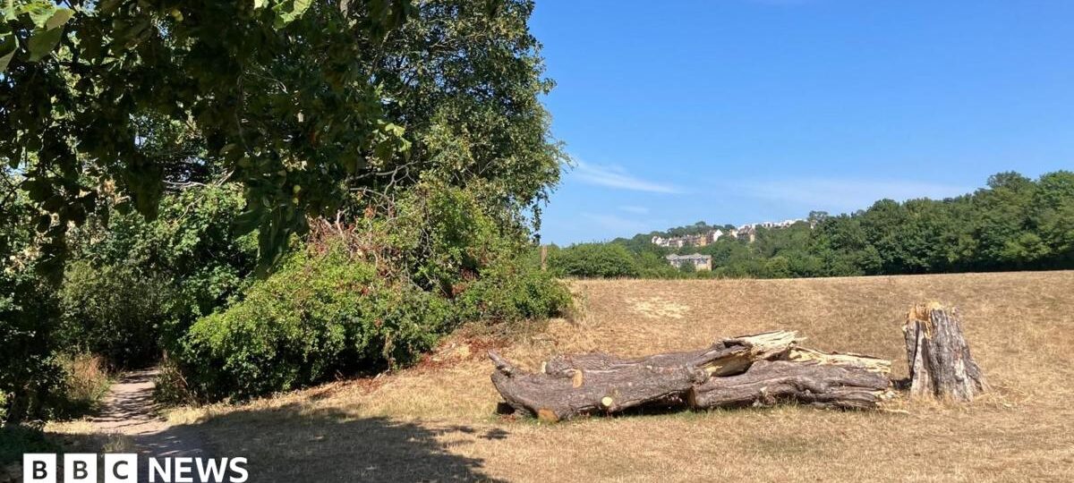 Two charged as body found in suitcase in woods