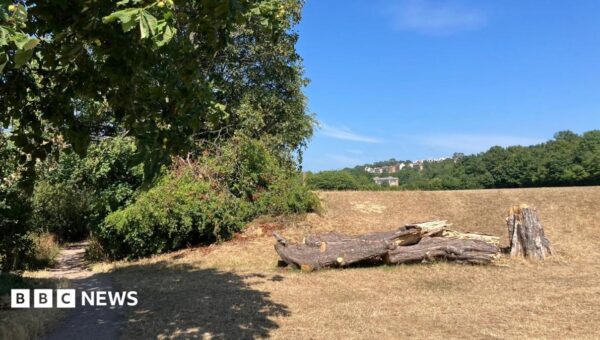Two charged as body found in suitcase in woods