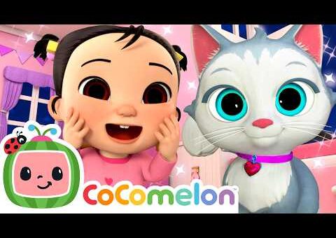 Play with Cats 🐈 | Cece Had a Little Cat | Animals and Pets | CoComelon Nursery Rhymes