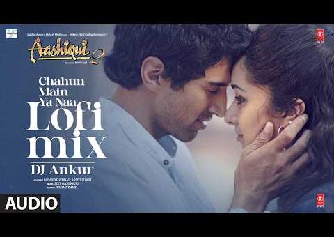 Chahun Main Ya Naa Lofi Mix | Aashiqui 2 | Arijit Singh | Jeet Ganguly | Palak Muchhal | DJ Ankur