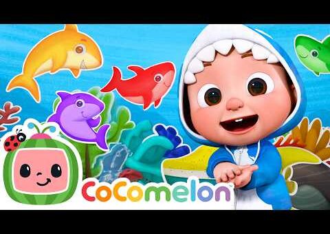 Baby Shark Rainbow 🌈 Learn Colors and Sea Creatures | CoComelon Nursery Rhymes & Kids Songs