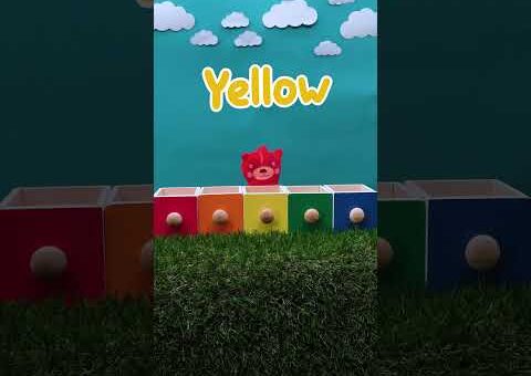 Do You Know Your Colors?! 🌈 🎨 Color Sorting for Kids #cocomelon #color #shorts