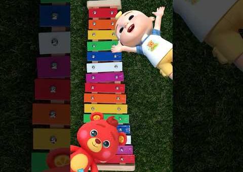 Learn Colors With Music! 🎵🌈 Boba Bear’s Xylophone Instrument Fun! #cocomelon #shorts