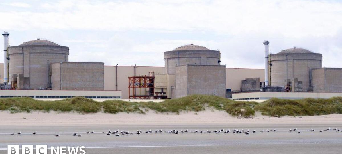 Jellyfish force partial shutdown of French nuclear plant