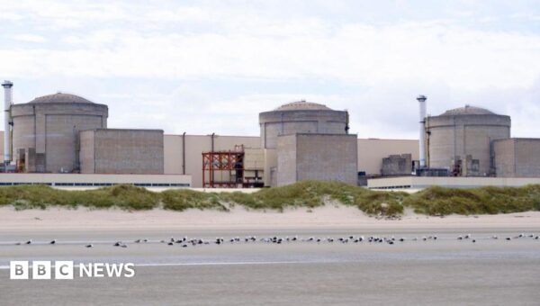Jellyfish force partial shutdown of French nuclear plant