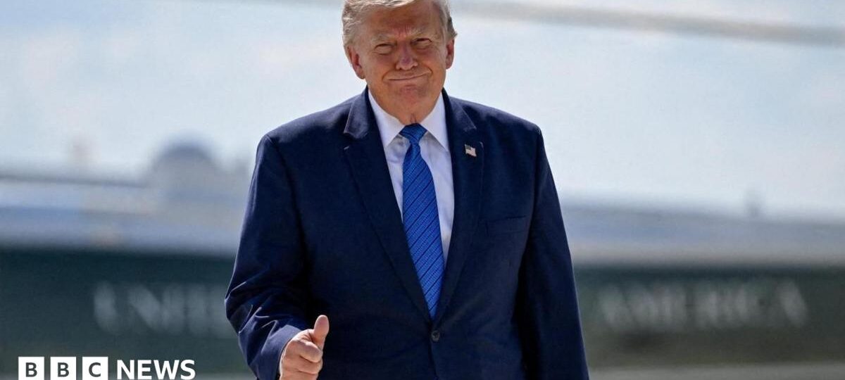 Trump says he is cancelling strikes on Iran subject to 'rapidly' making deal