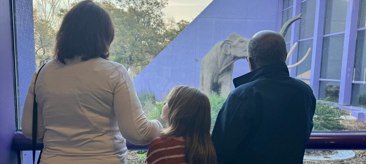 I prefer taking family trips with my in-laws. It reduces my mental load, and my kids love spending time with their grandparents.