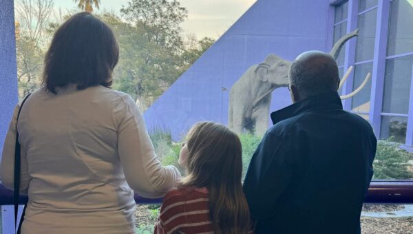I prefer taking family trips with my in-laws. It reduces my mental load, and my kids love spending time with their grandparents.
