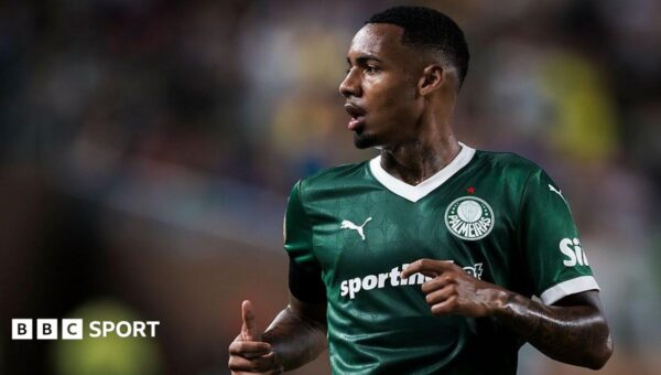 Man City sign Palmeiras winger Allan for £34m