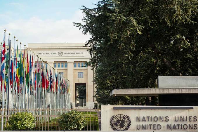 United Nations Nippon Foundation Fellowship 2027 | Fully Funded
