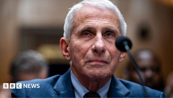 US Senate committee votes to hold Fauci in contempt over Covid hearing