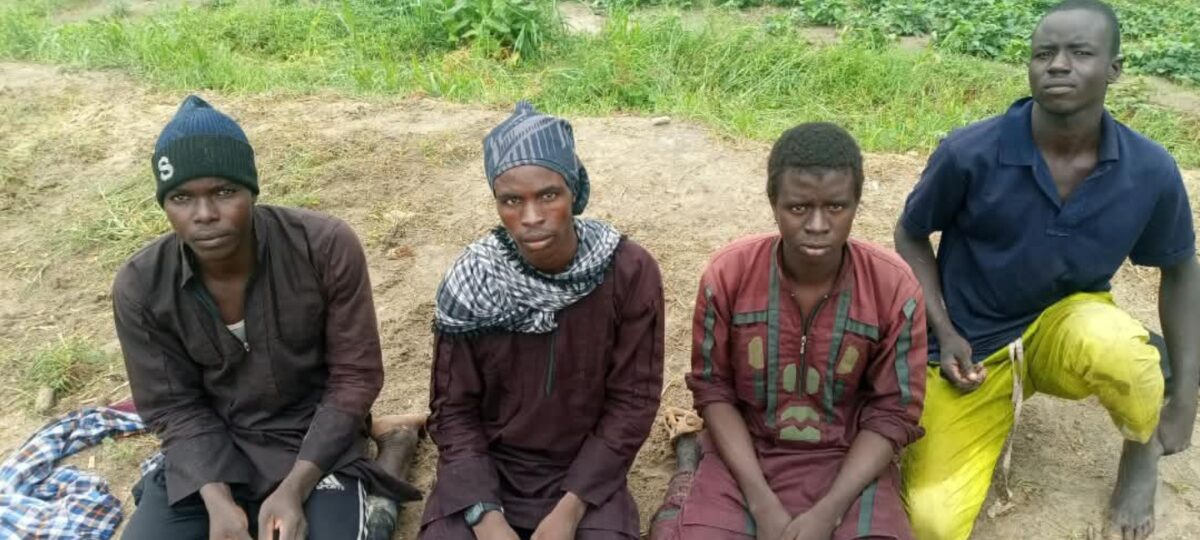 Borno: Four ISWAP fighters surrender, expose terrorist enclave