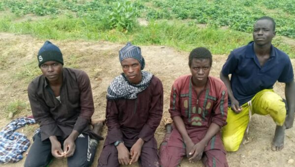 Borno: Four ISWAP fighters surrender, expose terrorist enclave